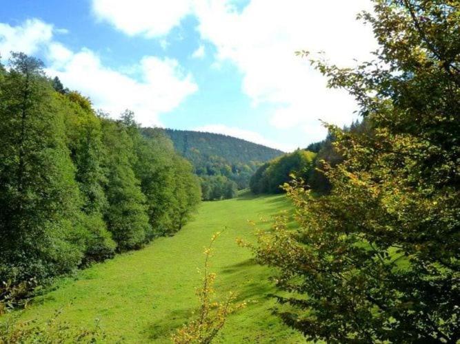 Apartment In The Odenwald With Terrace Mossautal Exteriör bild