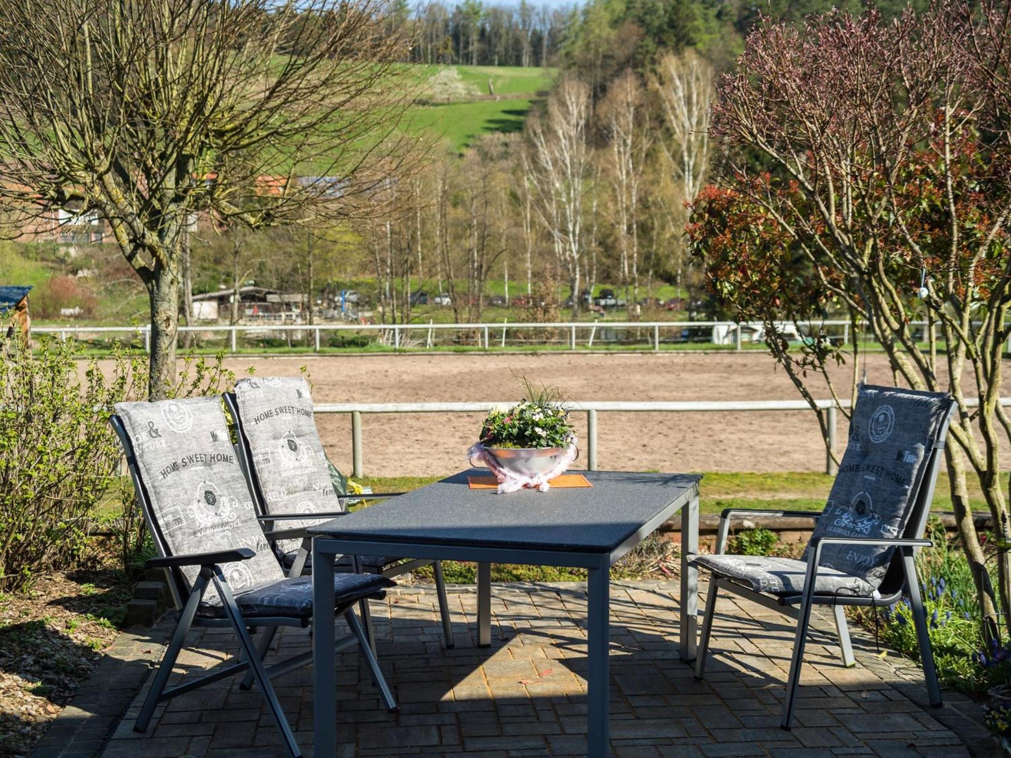 Apartment In The Odenwald With Terrace Mossautal Exteriör bild