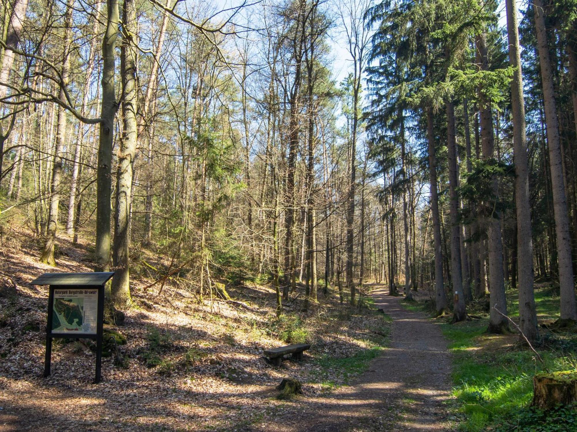 Apartment In The Odenwald With Terrace Mossautal Exteriör bild